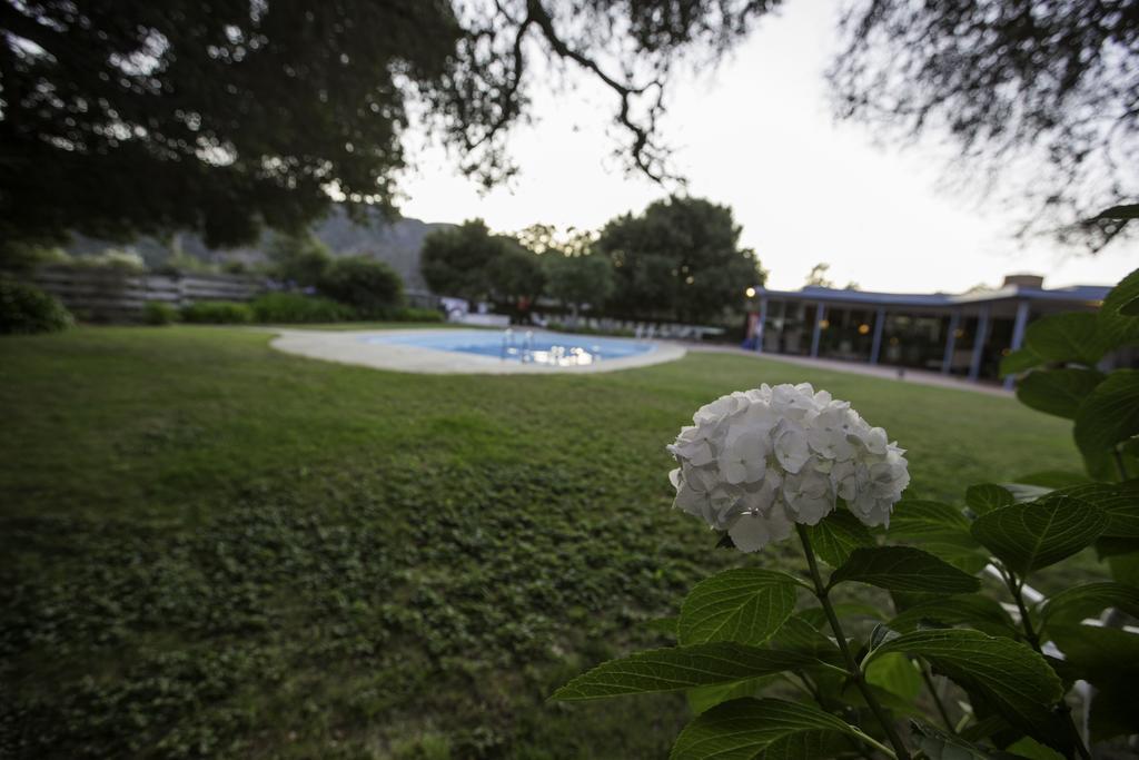 The Blue Sky Lodge Carmel Valley Εξωτερικό φωτογραφία