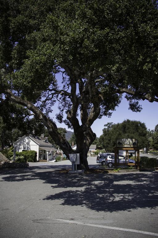 The Blue Sky Lodge Carmel Valley Εξωτερικό φωτογραφία