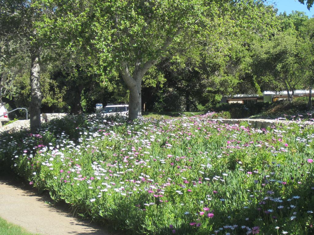 The Blue Sky Lodge Carmel Valley Εξωτερικό φωτογραφία